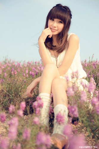 《暖冬の花》
